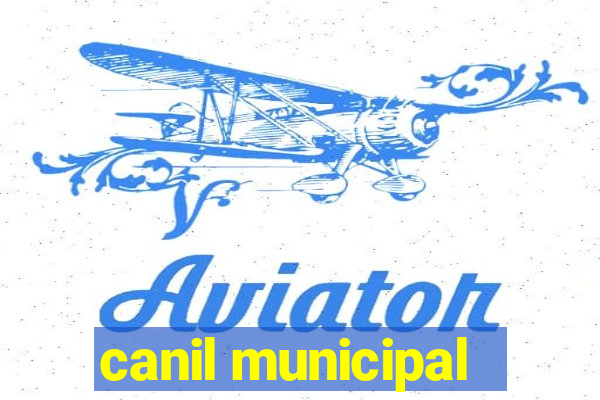 canil municipal